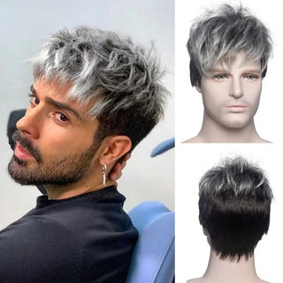 Mens Gray Wig