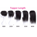 Stylonic Fashion Boutique Hair Topper Human Hair Topper For Women Straight 3 Clips Human Hair Topper For Women Straight 3 Clips - Stylonic