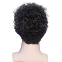 Stylonic Fashion Boutique Short Kinky Curly Wig for Man